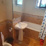 Boss * Constanţa