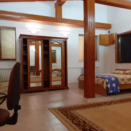 招待所 Boss 康斯坦察